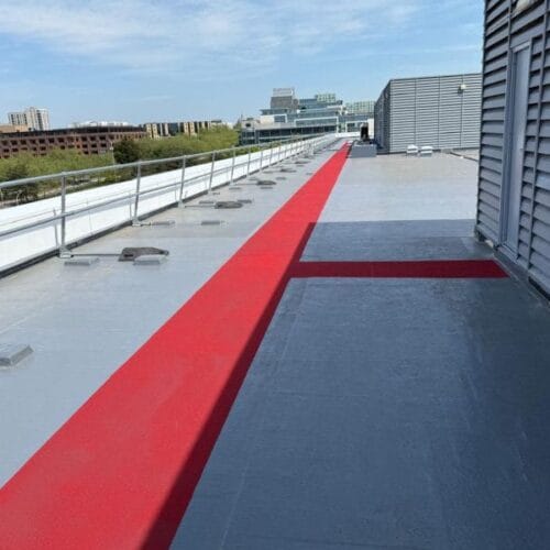 Elder House Complete 1 Elder House Complete 1